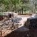 Waterfall Safari Lodge - 255820