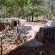 Waterfall Safari Lodge - 255820