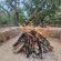 Waterfall Safari Lodge - 255834