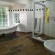 Cranberry Cottage - 255883