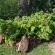 Boer en Brit Self-Catering Guest House - Garden view