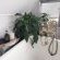 Kimi's Self Catering Guest Cottage - 256021