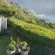 Phillip Villa - Garden