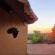 Phumula Bush Villa - Garden view