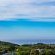 41 Ocean Ave - The Wille's - 256289