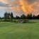 Cygnature Boutique Lodge - 256311
