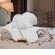 Cygnature Boutique Lodge - 256322