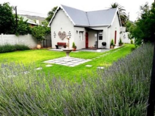 Tranquil House Bed & Breakfast - 256442