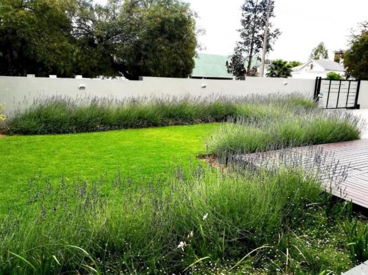Tranquil House Bed & Breakfast - 256449