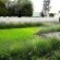 Tranquil House Bed & Breakfast - 256449