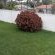 Kennington Lodge - Garden