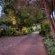 Anne's Place - 256599