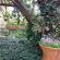Anne's Place - 256600