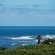 Great White Accommodation - 256639