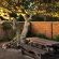 Great White Accommodation - 256650