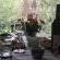 Cybele Lodge BnB - 256754