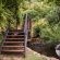 Browns Manor - 257062