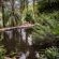 Browns Manor - 257069