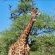 Phakela Private Game Lodge - Natural landscape