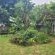 208 On Circular - Garden