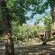 Pumusa Bushcamp - 257327