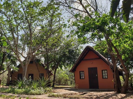 Pumusa Bushcamp - 257330