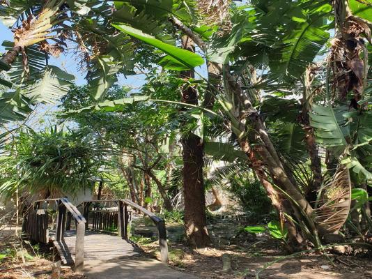 Pumusa Bushcamp - 257331