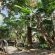 Pumusa Bushcamp - 257331
