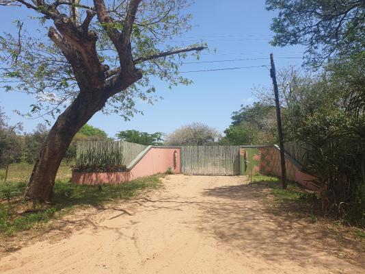 Pumusa Bushcamp - 257334