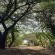 Pumusa Bushcamp - 257338