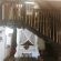 Pumusa Bushcamp - 257349