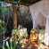 Dune Ridge Country House - 257376