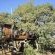 Mokala National Park - 257510