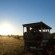 Mokala National Park - 257512