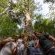 Garden Route (Tsitsikamma, Knysna, Wilderness) National Park - 257520