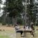 Table Mountain National Park Tented Accommodation - 257525
