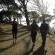 Table Mountain National Park Tented Accommodation - 257529