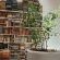 The Richmond Cafe & Rooms - Library 