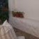 The Richmond Cafe & Rooms - Garden