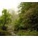 Hawklee Country House - 257723