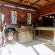 Hawklee Country House - 257734