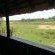 Sirheni Bushveld Camp - Kruger Park - 258031