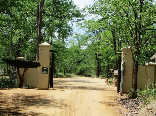 Sirheni Bushveld Camp - Kruger Park - 258032