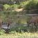 Shimuwini Bushveld Camp - Kruger Park - 258040