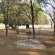 Shimuwini Bushveld Camp - Kruger Park - 258042