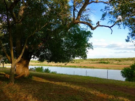 Shimuwini Bushveld Camp - Kruger Park - 258044
