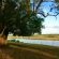 Shimuwini Bushveld Camp - Kruger Park - 258044