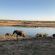Shimuwini Bushveld Camp - Kruger Park - 258047