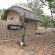 Shimuwini Bushveld Camp - Kruger Park - 258049