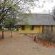 Shimuwini Bushveld Camp - Kruger Park - 258050